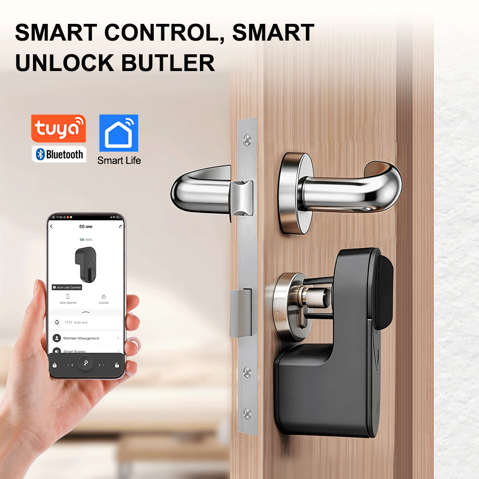 RAYKUBE EG one Tuya BLE Smart  - Learn Diy Electronics review and price