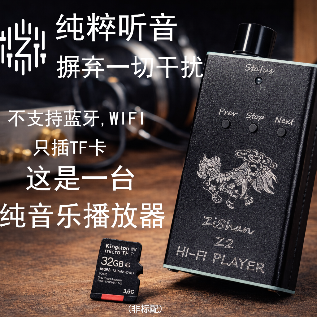 Zishan Z2 HiFi DSD Hard Soluti - Diy Electronics Audio review and price