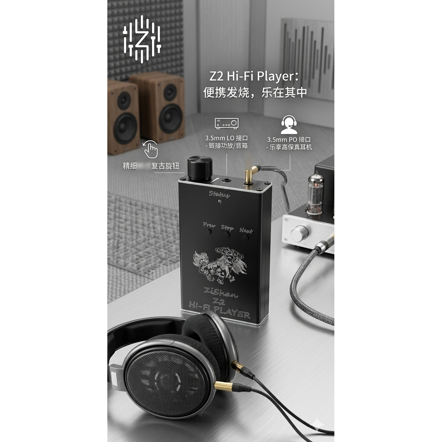 Zishan Z2 HiFi DSD Hard Soluti - Diy Electronics Audio review and price