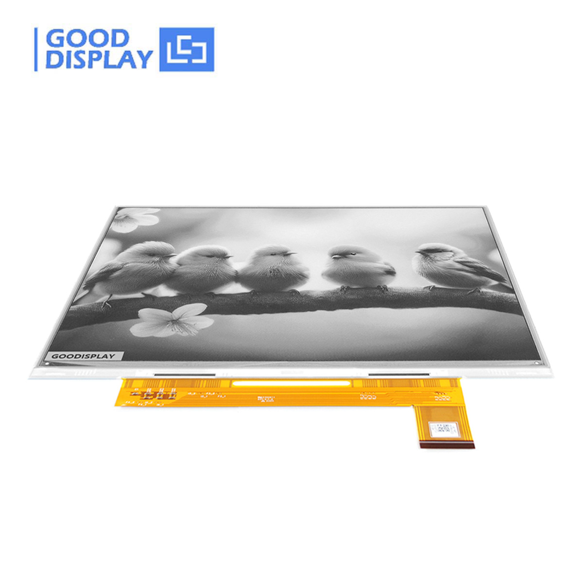E Book Reader DIY E Ink 10.3-i - Diy Electronics Book review and price