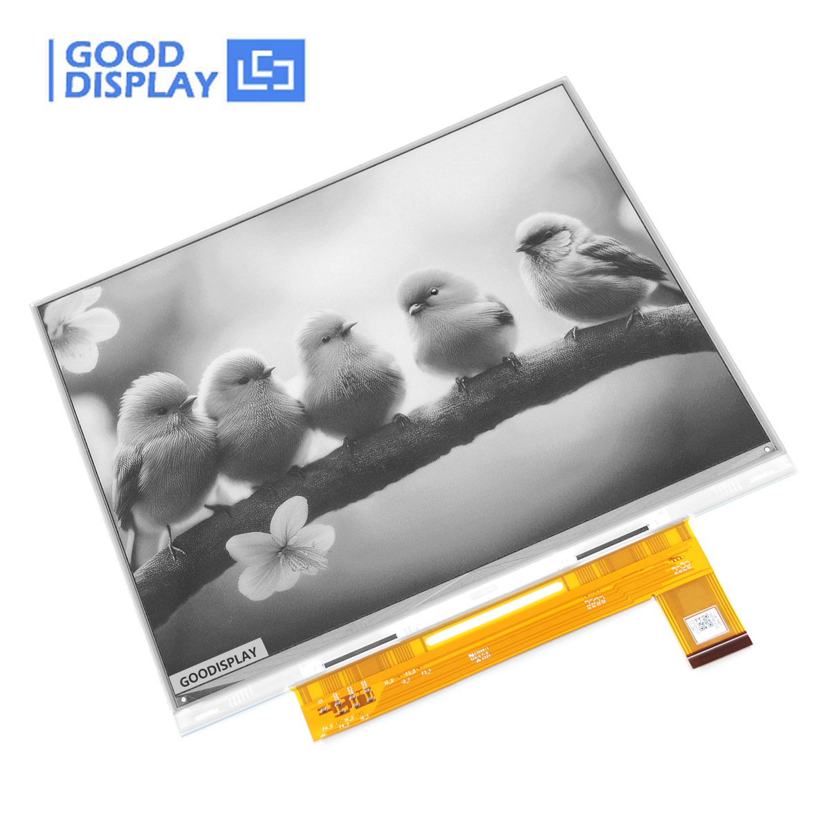 E Book Reader DIY E Ink 10.3-i - Diy Electronics Book review and price